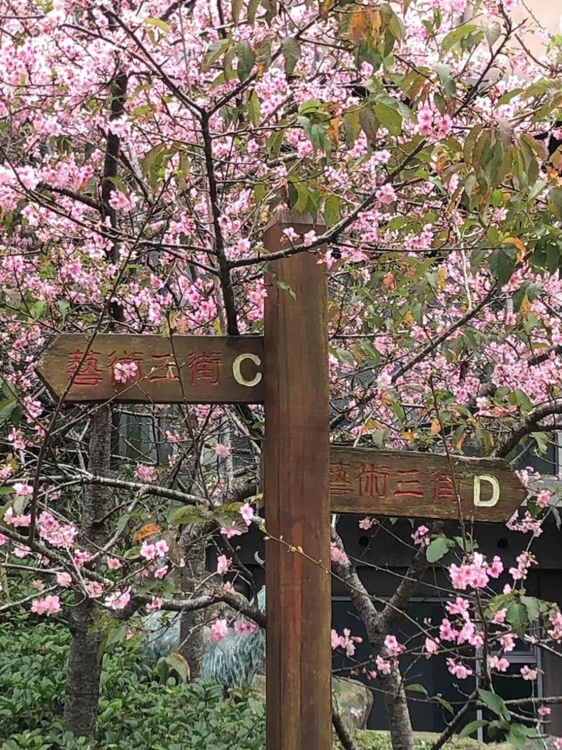 Miaoli Sanyi Travelling Homestay Kültér fotó